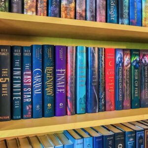 "Colorful bookshelf with popular YA novels,