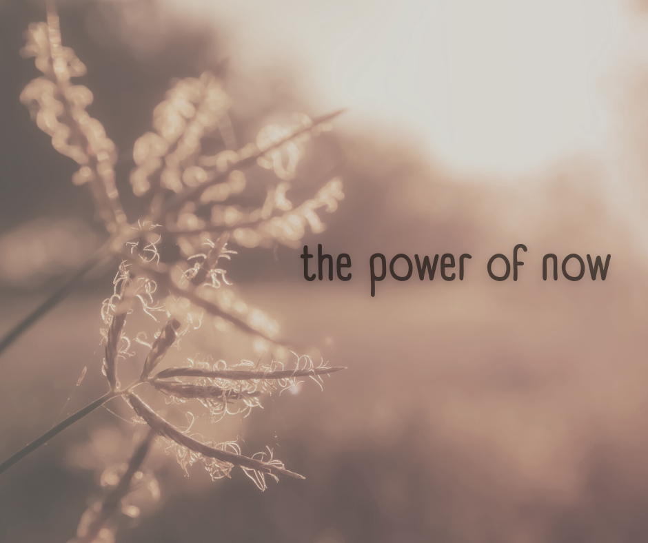 the power of now